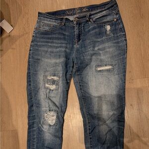 U.S. Polo ASSN Premium Denim Women's Blue Mid Rise Jegging Jeans Size 4 Regular